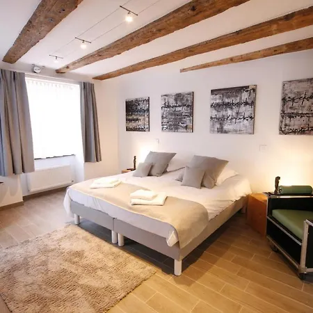 App'art - Le T Avec Sauna * Kaysersberg-Vignoble