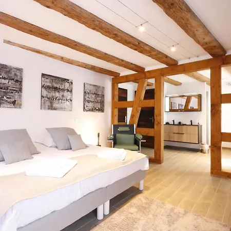App'art - Le T Avec Sauna Apartment *