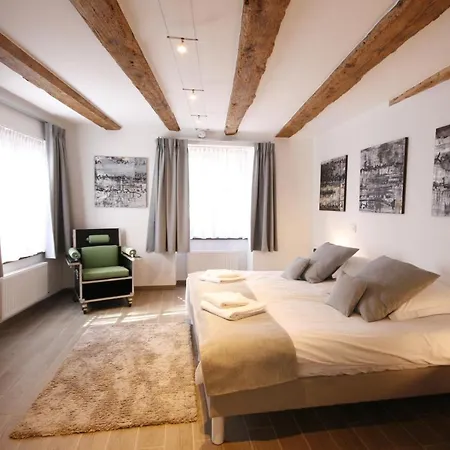 App'art - Le T Avec Sauna * Kaysersberg-Vignoble